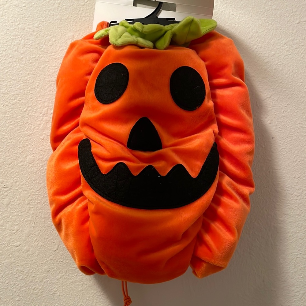 Pumpkin dog costume